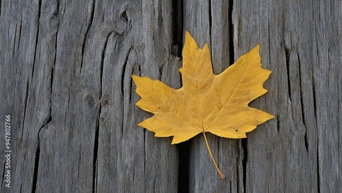 a yellow maple leaf on a wooden fence