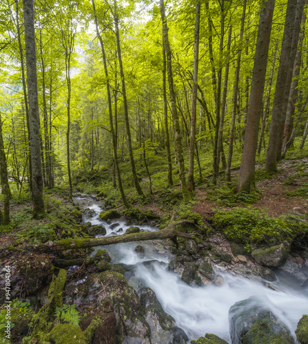 Rothbach Waterfall near Konigssee lake in Berchtesgaden National Park, Germany