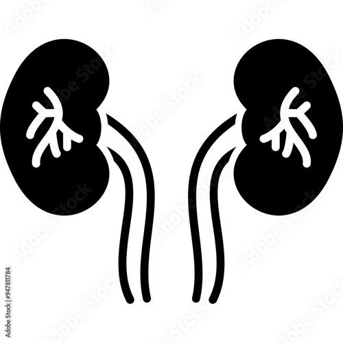 Kidney Icon