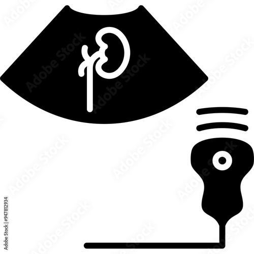 Kidney Ultrasound Icon