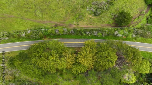 Aerial view of winding road through lush forest and serene greenery, Wesport Union Landing State Beach, California, United States. photo