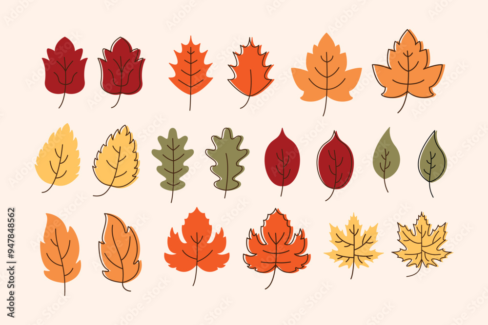 autumn leaves collection. A set of various leaves icons, autumn natural leaves hand drawn botanical vector illustration autumn leaves collection. A set of various leaves icons, autumn natural leaves hand drawn botanical vector illustration