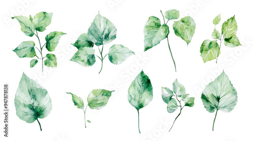 Various Watercolor Leaves Illustration on Transparent Background, Design Element for Creative Projects, Natural and Elegant Leaf Designs for Digital Art