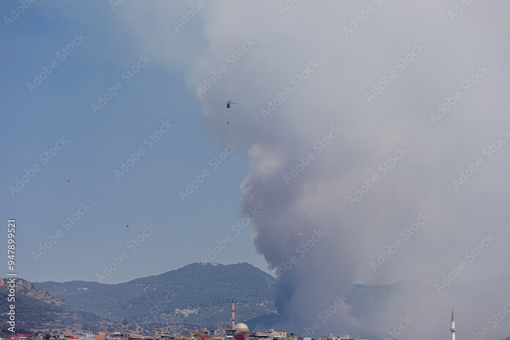 Turkey - Izmir 16 August 2024 Eurocopter AS532 Cougar type and Sikorsky helicopters carry the water they take from the sea to the fire area to intervene in the forest fire on Yamanlar Mountain.
