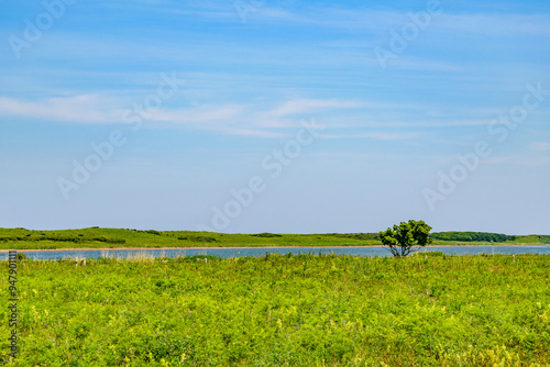 道東サロマ湖  ワッカ原生花園
 photo