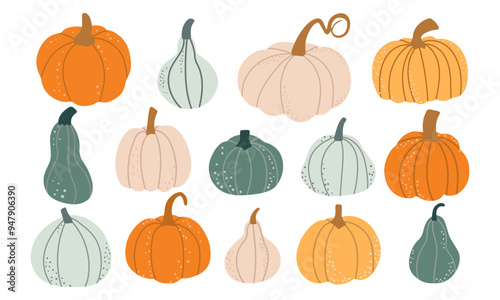 Set of colorful various pumpkins in flat style isolated on white background. Vector illustration