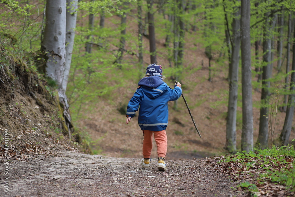 Obraz premium A boy walking alone in the forest with a wooden stick, Poland