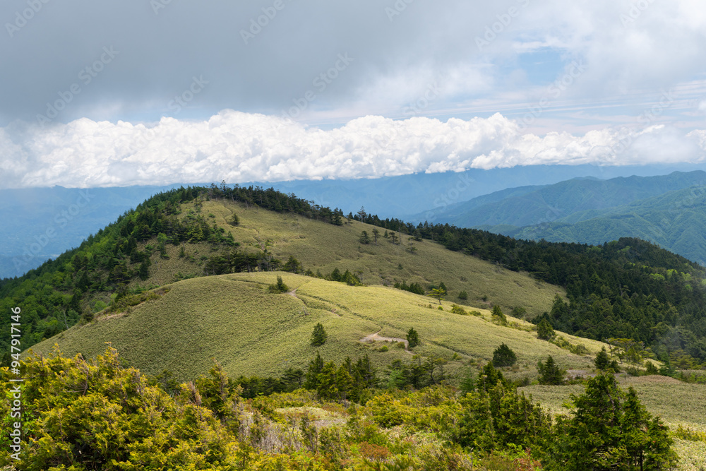 Fototapeta premium 青空が広がる夏の高原