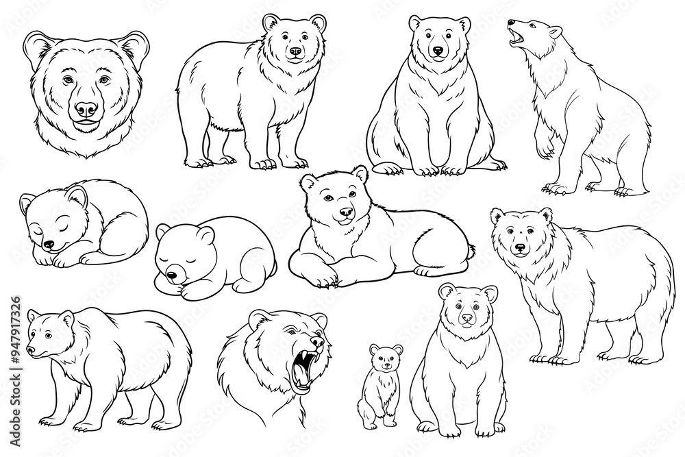 Bears lying, standing on their hind legs, walking, sitting, sleeping, growling. Set vector isolated linear predator in various poses. Use for logo, print, engraving, embossing, tattoo Bears lying, standing on their hind legs, walking, sitting, sleeping, growling. Set vector isolated linear predator in various poses. Use for logo, print, engraving, embossing, tattoo