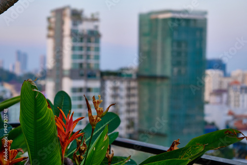 Panoramic view of the central part of Phnom Penh in Cambodia from a height in the evening through flowers. #947920748