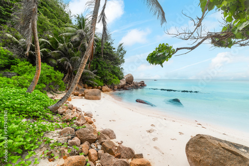 Obraz na płótnie Small tropical cove with palm trees and turquoise water w salonie