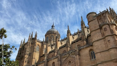 filming of the west façade of the New Cathedral of Salamanca where birds appear flying with a striking blue sky and a Magnolea tree, spectacular decoration of the cathedral and we see the Ramos door photo