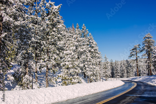 Cuadro en lienzo Snow-covered road winding through a winter forest