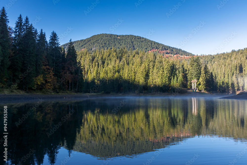 landscape by the lake in the early morning. coniferous forest on the shore and mountain hills of synevyr national park in autumn