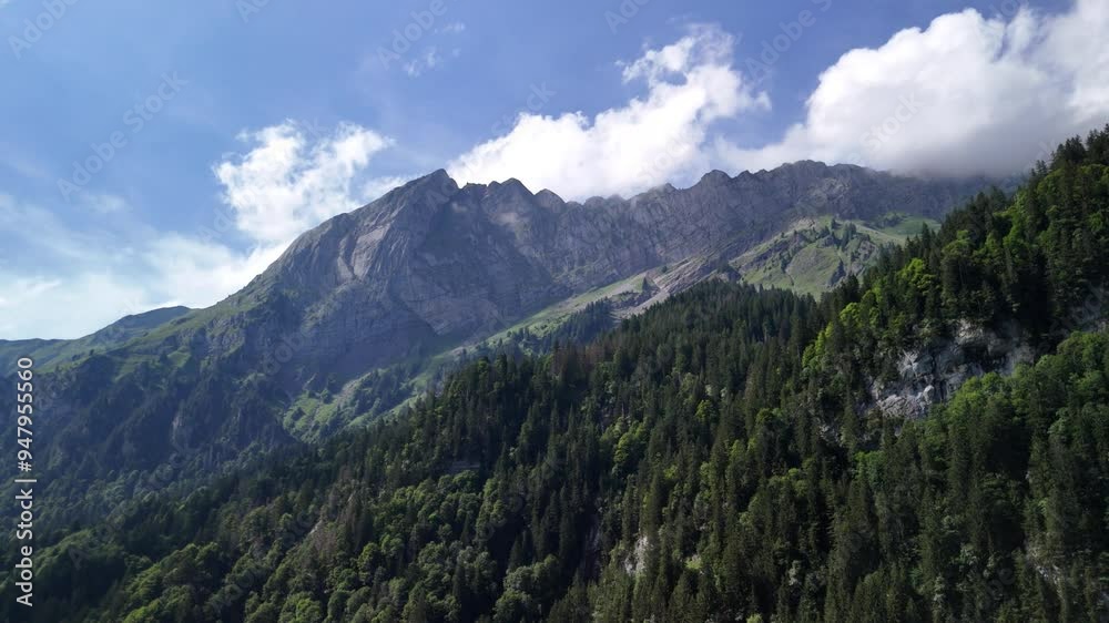 Swiss Alps mountains and forest in Switzerland, nature landscape aerial drone Swiss Alps mountains and forest in Switzerland, nature landscape aerial drone