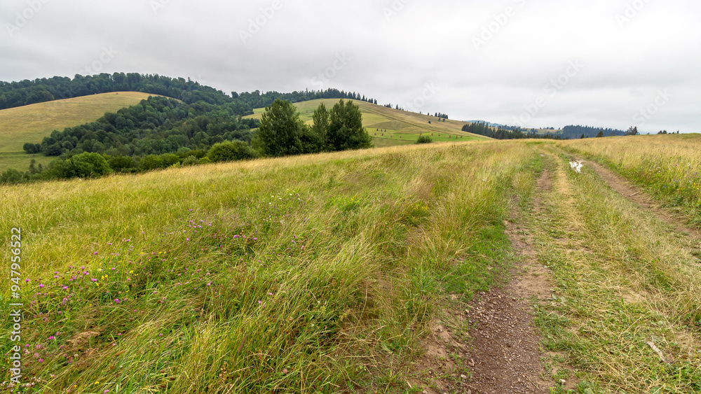 beautiful countryside of ukraine. cloudy afternoon. wonderful summer landscape in mountains. grassy field and rolling hills. rural scenery. path through scenic region