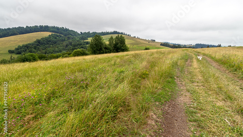 Obraz na płótnie beautiful countryside of ukraine. cloudy afternoon. wonderful summer landscape in mountains. grassy field and rolling hills. rural scenery. path through scenic region w salonie