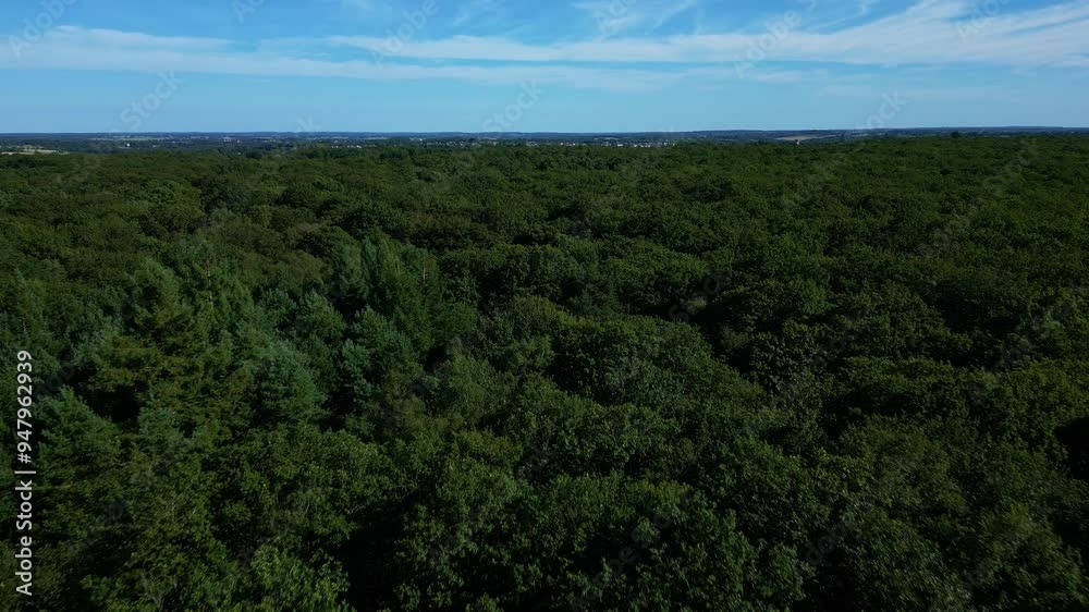 Forward aerial movement above the l'Huisserie forest canopies, Mayenne, France. Forward aerial movement above the l'Huisserie forest canopies, Mayenne, France.