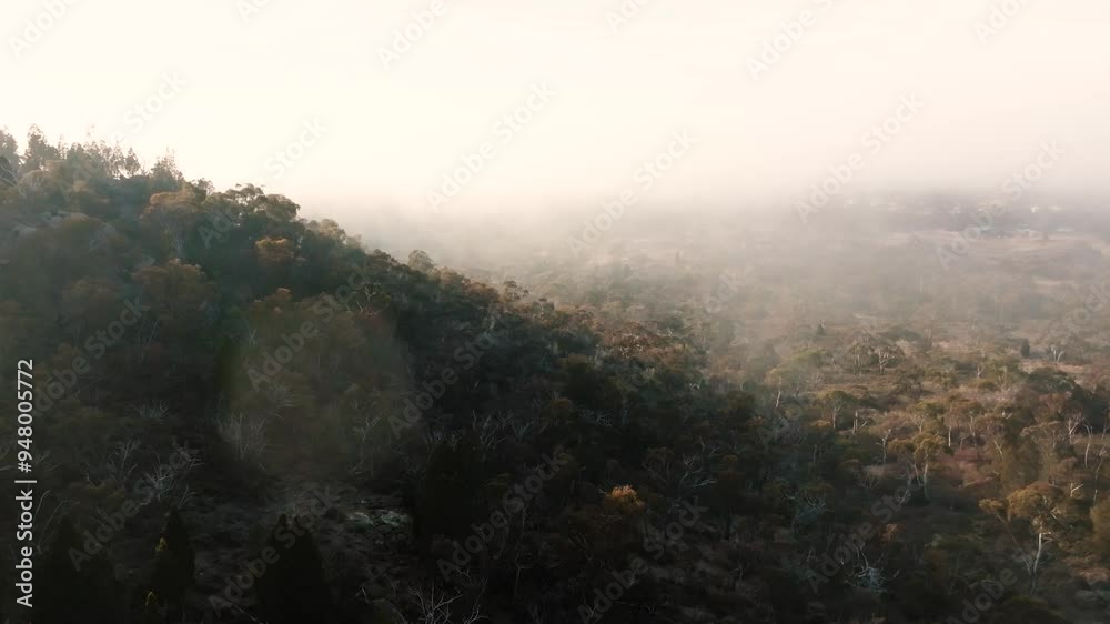 Misty morning flying into flog mountainous bushland Australia Misty morning flying into flog mountainous bushland Australia