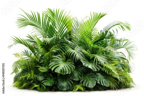 Lush tropical green foliage plants