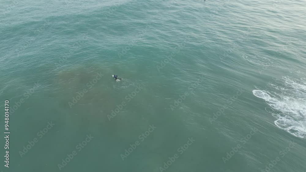 Aerial view of surfers riding waves in the ocean, Bidart, France. Aerial view of surfers riding waves in the ocean, Bidart, France.