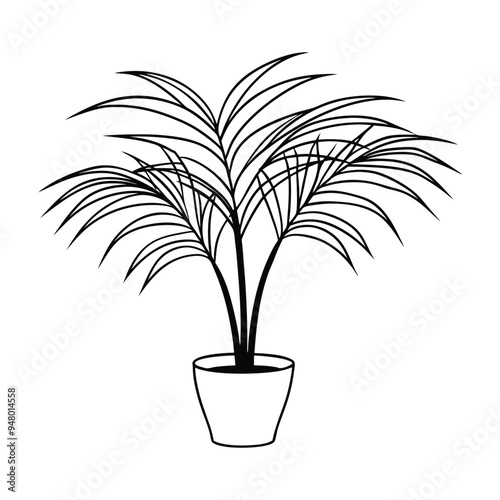 Houseplant Outline Design- Potted plant Clipart -  Areca palm plant  illustration in black and white