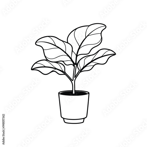 Houseplant Outline Design- Potted plant Clipart - Fiddle leaf fig plant  illustration in black and white