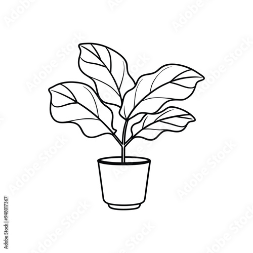 Houseplant Outline Design- Potted plant Clipart - Fiddle leaf fig plant  illustration in black and white