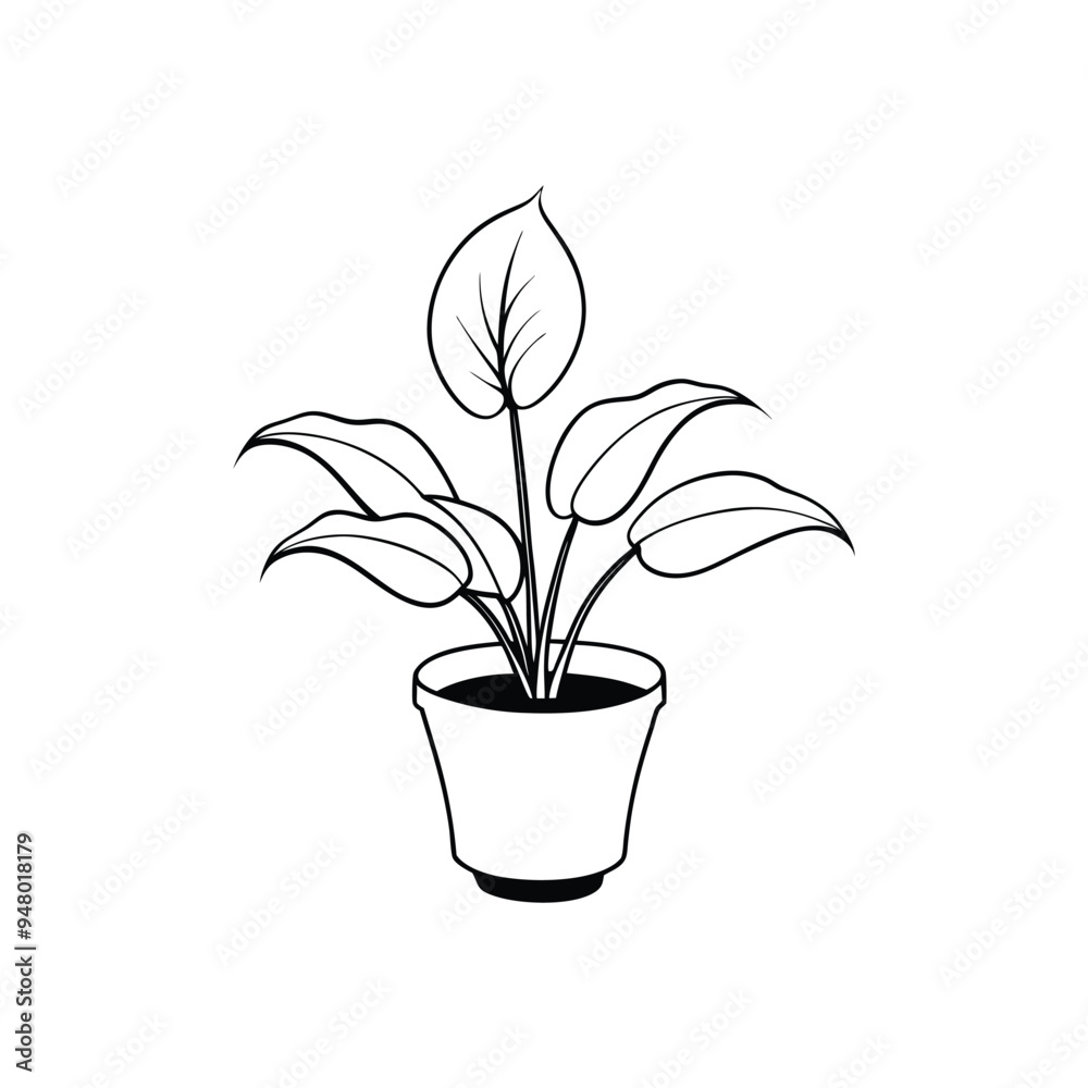 Houseplant Outline Design - Potted Indoor plant Clipart - Peace lily plant illustration in black and white Houseplant Outline Design - Potted Indoor plant Clipart - Peace lily plant illustration in black and white