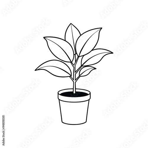 Houseplant Outline Design - Potted Indoor plant Clipart - Rubber fig plant  illustration in black and white