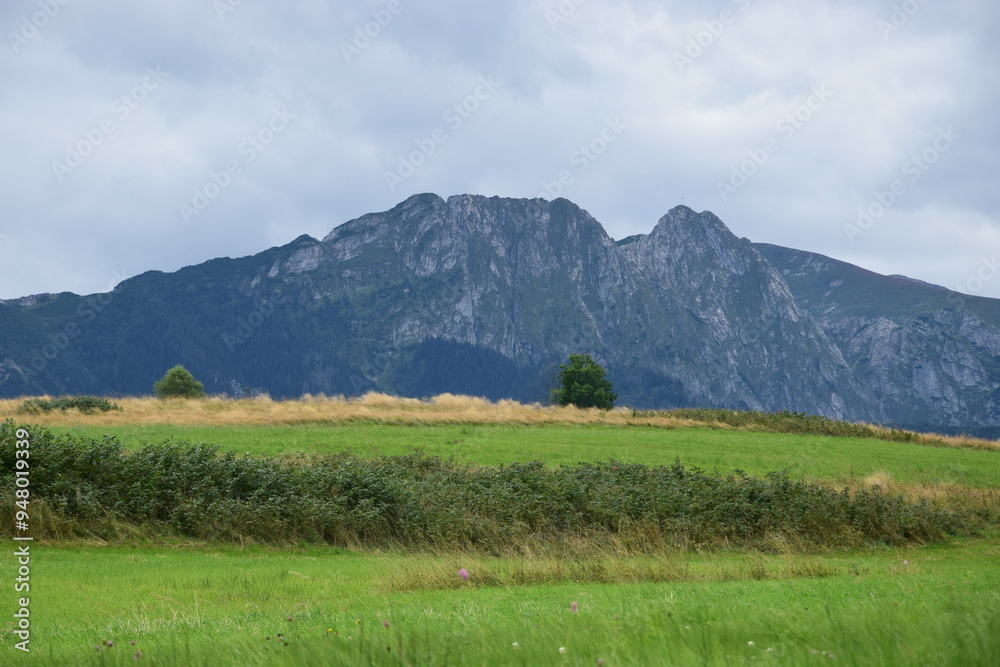 Fototapeta premium landscape with mountains and sky