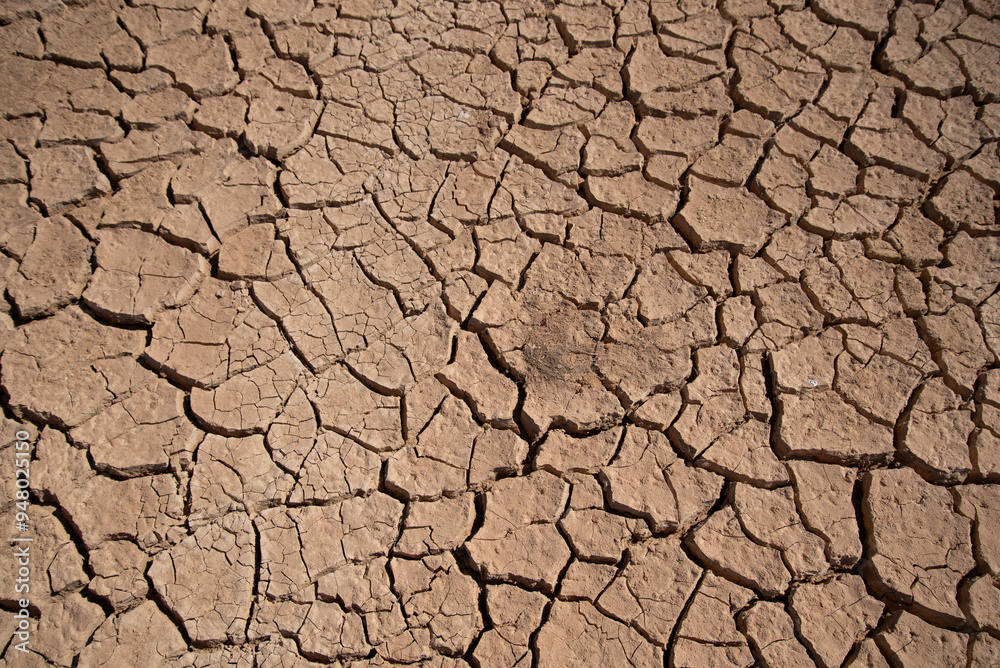 Dried Mud Cracks in Desertification Area on Barren Land during Hot Summer Day in Azraq Jordan Dried Mud Cracks in Desertification Area on Barren Land during Hot Summer Day in Azraq Jordan
