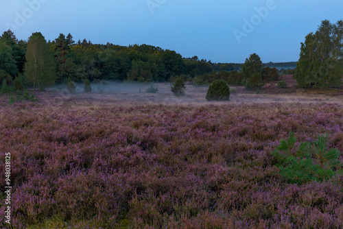 heath field in region