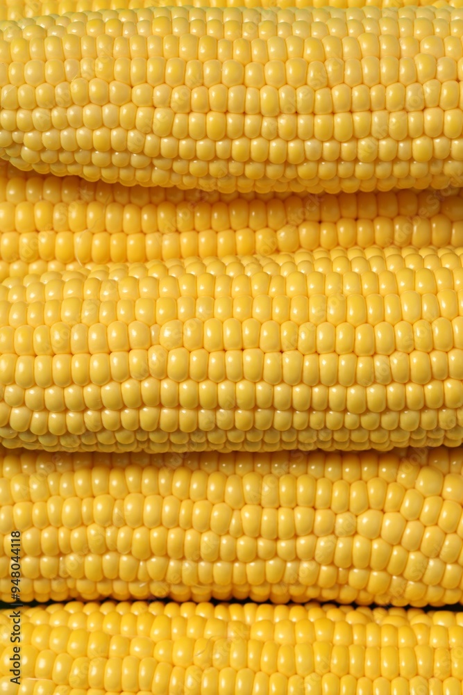 Many fresh ripe corncobs as background, top view Many fresh ripe corncobs as background, top view