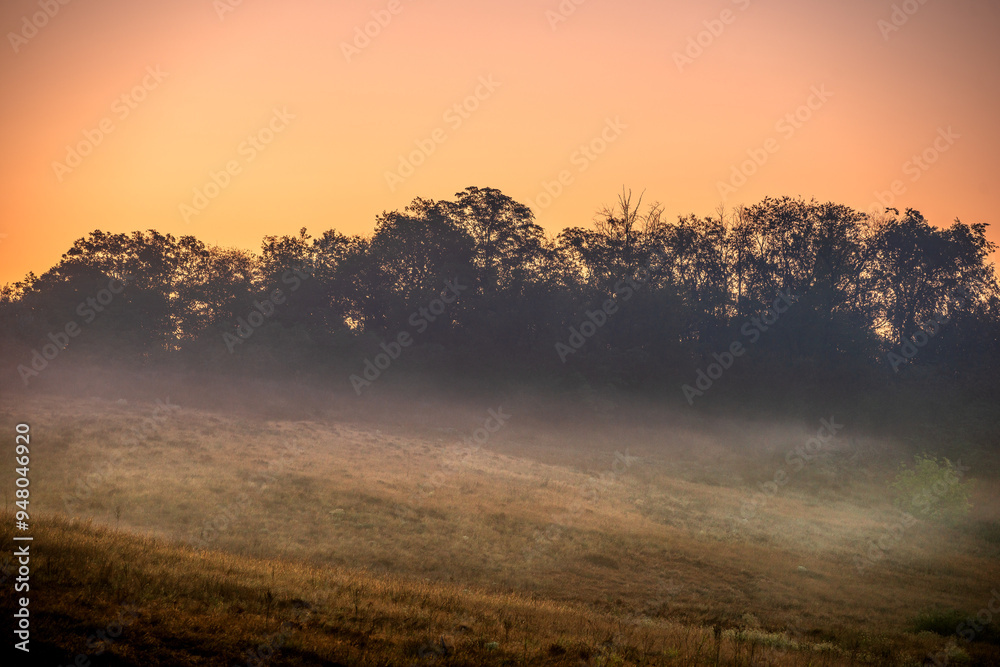 Forest at summer morning , green grass and trees . Foggy morning , foggy field . Wild nature , power lines over the forest . Yellow sky , golden sun , beautiful colors , sunny morning . Forest at summer morning , green grass and trees . Foggy morning , foggy field . Wild nature , power lines over the forest . Yellow sky , golden sun , beautiful colors , sunny morning .