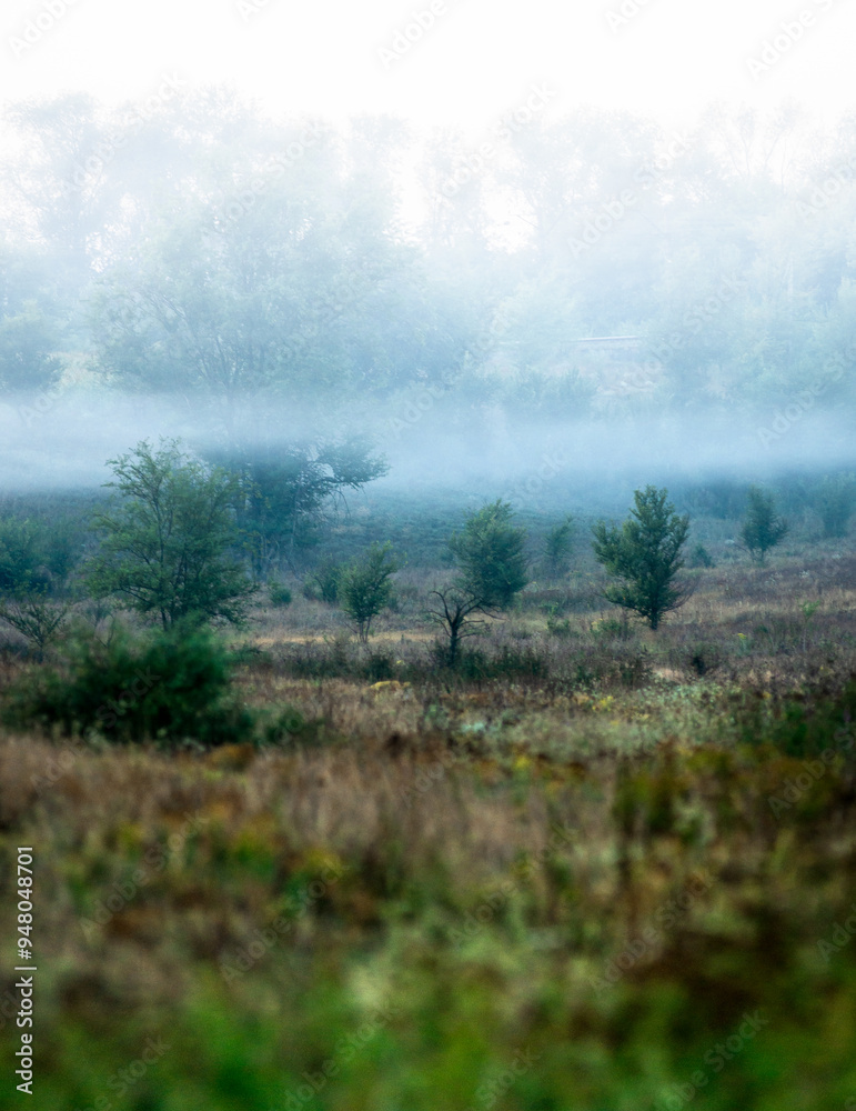 Summer morning with fog , green field , green trees , forest at summer . Yellow sunrise over the trees , sunny days . Fog over the trees and field , tree on field with grass , beautiful landscape Summer morning with fog , green field , green trees , forest at summer . Yellow sunrise over the trees , sunny days . Fog over the trees and field , tree on field with grass , beautiful landscape