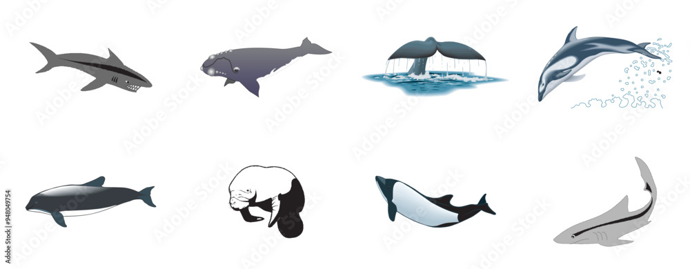 h Sea Creature Dolphin Whale Sea Lion Animals Silhouette - compendium vector illustrations editable best art design for logo icon multipurpose use in high definition format h Sea Creature Dolphin Whale Sea Lion Animals Silhouette - compendium vector illustrations editable best art design for logo icon multipurpose use in high definition format