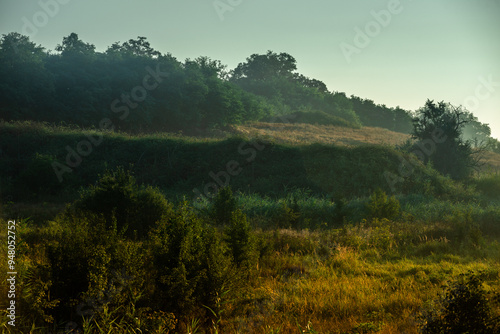 Cuadro en lienzo Fog in forest , trees on field , beautiful nature landscape , yellow colors , golden hour and colors