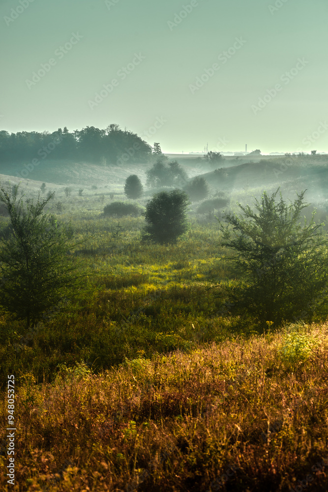 Fog in forest , trees on field , beautiful nature landscape , yellow colors , golden hour and colors . Trees with sunlights through the trees . Green grass , summer morning . Fog in forest , trees on field , beautiful nature landscape , yellow colors , golden hour and colors . Trees with sunlights through the trees . Green grass , summer morning .
