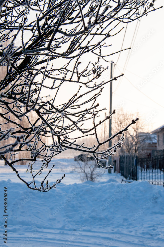 Obraz premium Photo of a tree branch covered with frost in winter