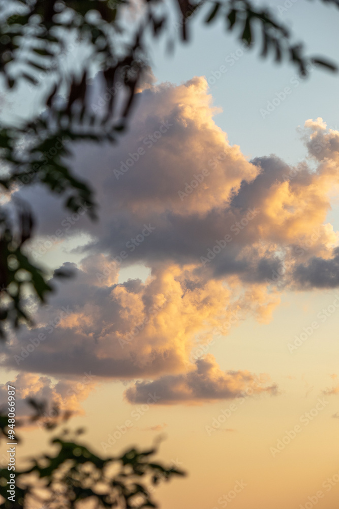 Obraz premium Clouds at sunset through the leaves