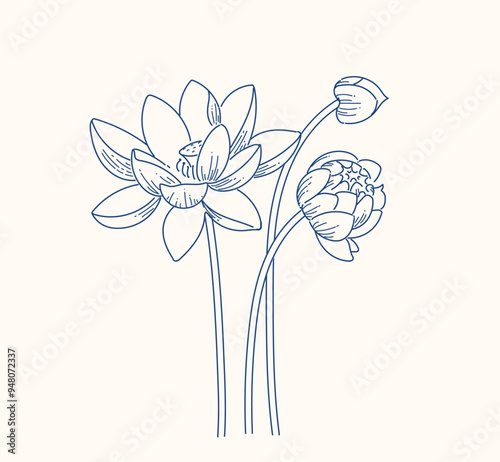 Lotus flower line vector blue ink style illustration