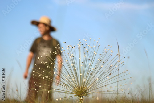 homem em campo com palipalan (conhecido como "chuveirinhos") na chapada dos veadeiros, goiás