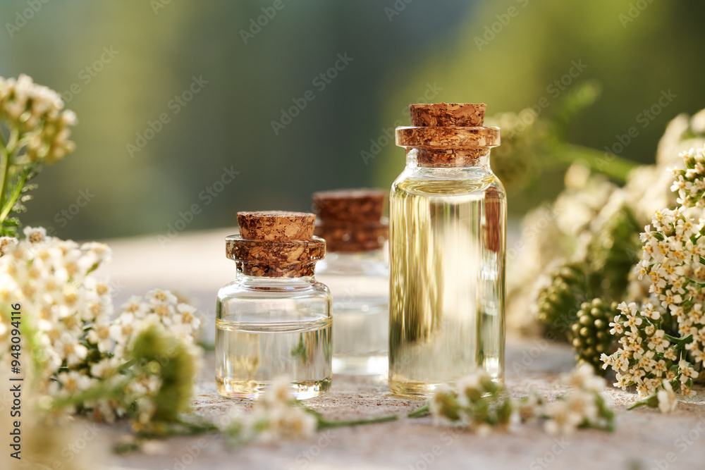 Bottles of aromatherapy essential oil with fresh yarrow flowers outdoors Bottles of aromatherapy essential oil with fresh yarrow flowers outdoors