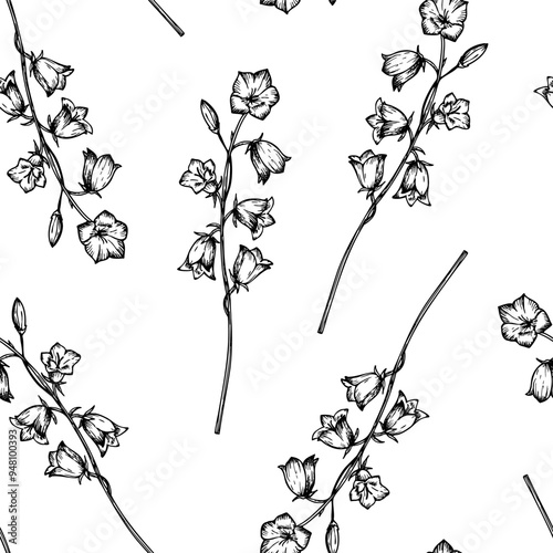 Seamless pattern with vector bluebell. Hand painted flower. Graphic campanula isolated on background Botanical and wedding illustration. For designers, invitations, decoration, post