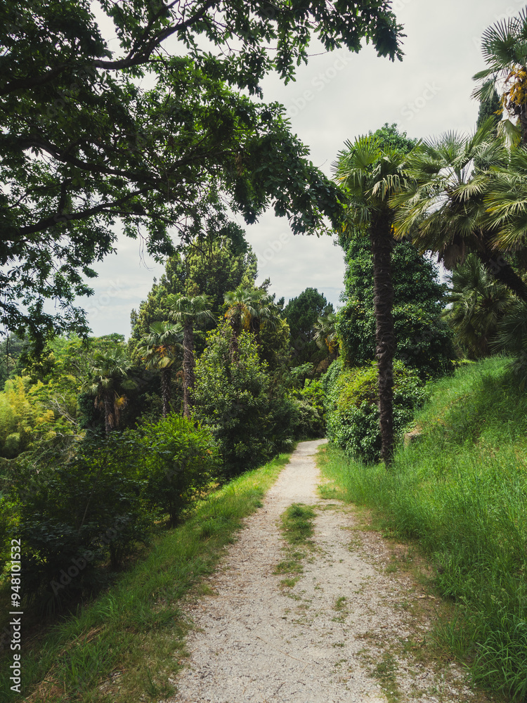 Palm trees against a backdrop of bright tropical greenery, creating an atmosphere of relaxation and exotic paradise Palm trees against a backdrop of bright tropical greenery, creating an atmosphere of relaxation and exotic paradise