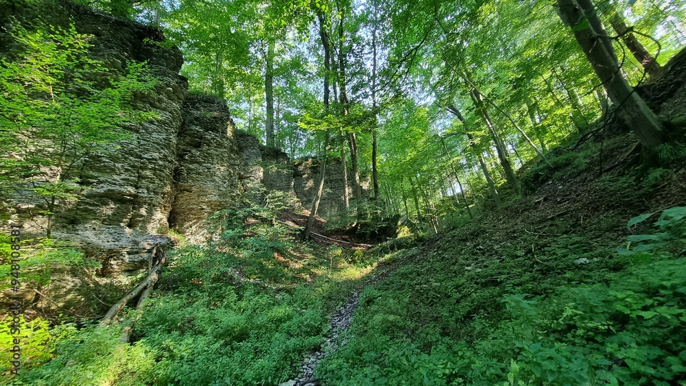 Obraz premium Naturschutzgebiet Bielsteinhöhle 