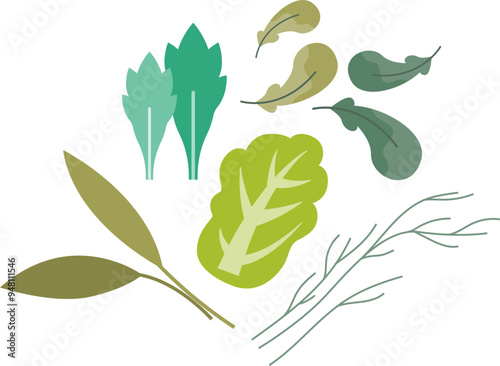 Assorted leafy greens illustration, symbolizing fresh, organic salad ingredients.