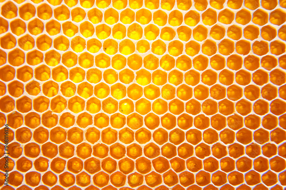 bee fresh honey in combs. background and texture. vitamin natural food. bee work product bee fresh honey in combs. background and texture. vitamin natural food. bee work product