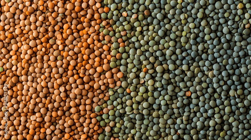 Full screen top view of dried lentils with shades of green and brown